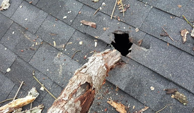 Roof Repair