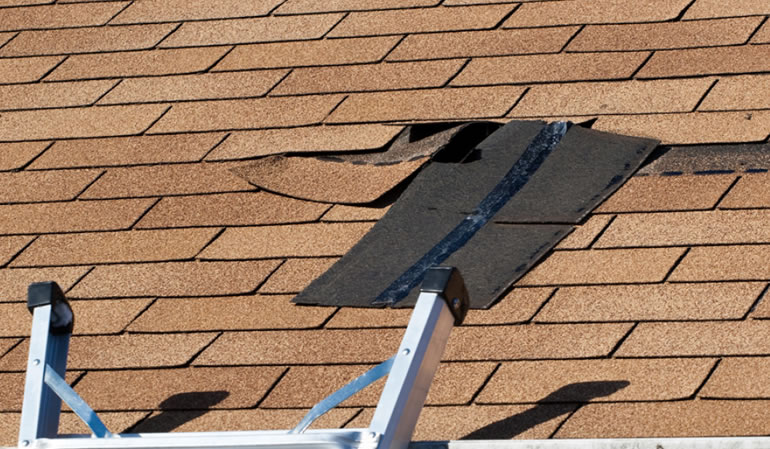 Roof Repair