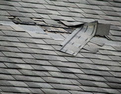 Roof Shingle Repair Service