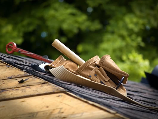 Roofing Contractor - Innovation